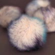 Pompom Sorbet Pompom Sorbet